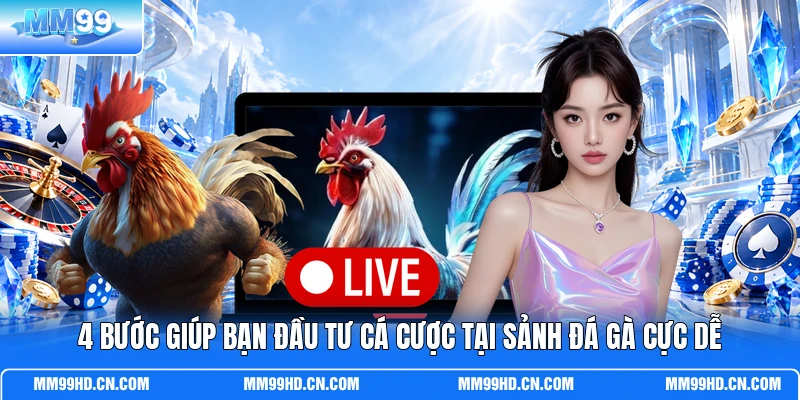 4 bước giúp bạn đầu tư cá cược tại sảnh đá gà cực dễ