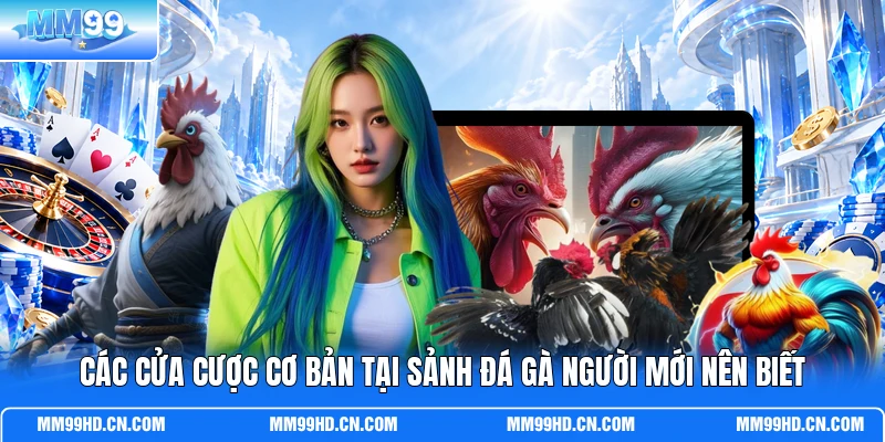 Các cửa cược cơ bản tại sảnh đá gà người mới nên biết