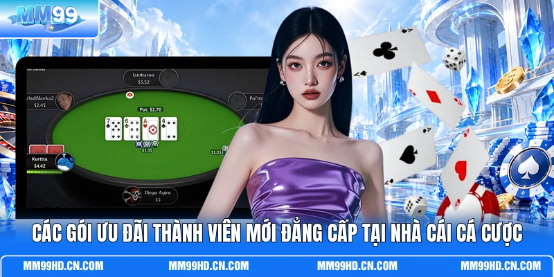 Các gói ưu đãi thành viên mới đẳng cấp tại nhà cái cá cược