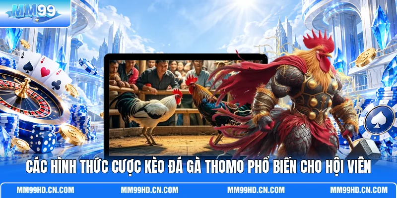 Các hình thức cược kèo đá gà Thomo phổ biến cho hội viên