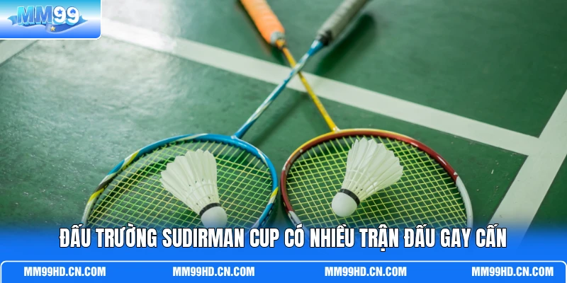 Đấu trường Sudirman Cup có nhiều trận đấu gay cấn