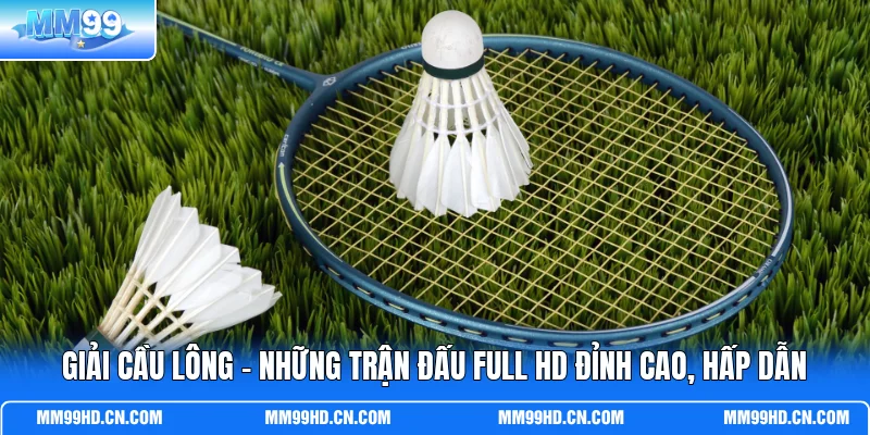 Giải Cầu Lông - Những Trận Đấu Full HD Đỉnh Cao, Hấp Dẫn