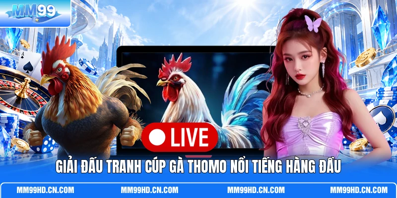 Giải đấu tranh cúp gà Thomo nổi tiếng hàng đầu