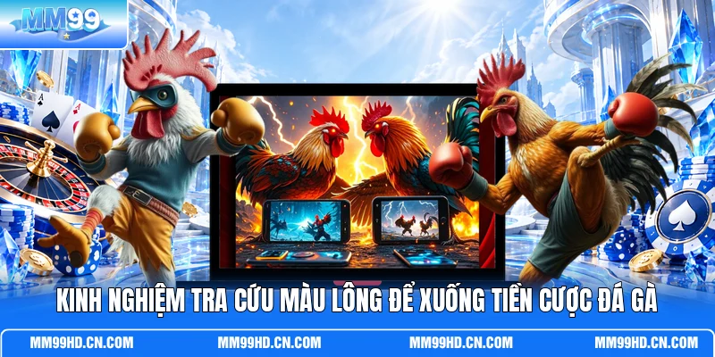 Kinh nghiệm tra cứu màu lông để xuống tiền cược đá gà