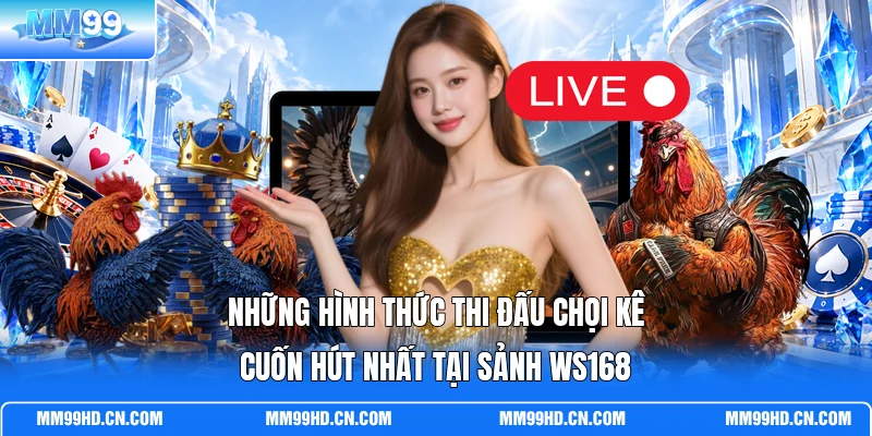 Những hình thức thi đấu chọi kê cuốn hút nhất tại sảnh WS168