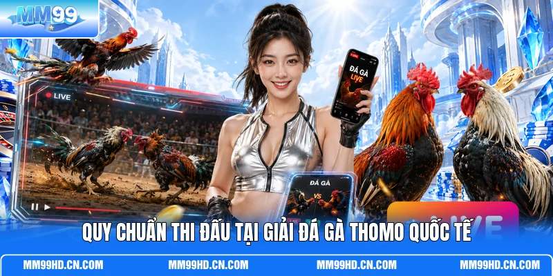 Quy chuẩn thi đấu tại giải đá gà Thomo quốc tế