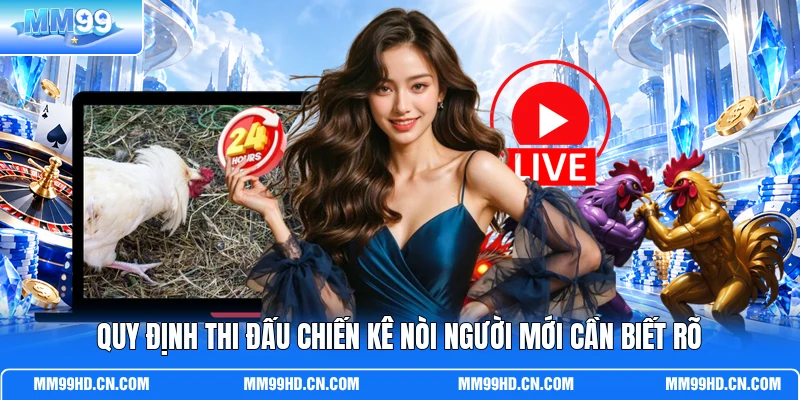 Quy định thi đấu chiến kê nòi người mới cần biết rõ Quy định thi đấu chiến kê nòi người mới cần biết rõ
