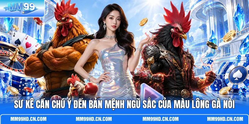 Sư kê cần chú ý đến bản mệnh ngũ sắc của màu lông gà nòi