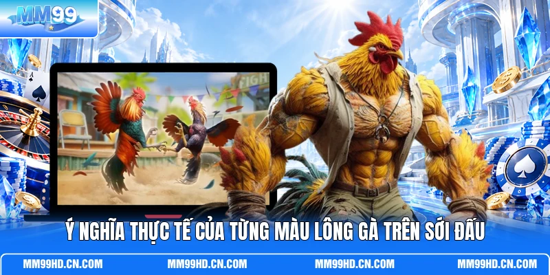 Ý nghĩa thực tế của từng màu lông gà trên sới đấu